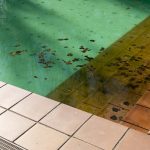 Dirty swimming pool due for cleanup