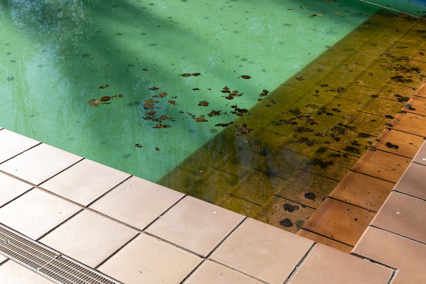 Dirty swimming pool due for cleanup